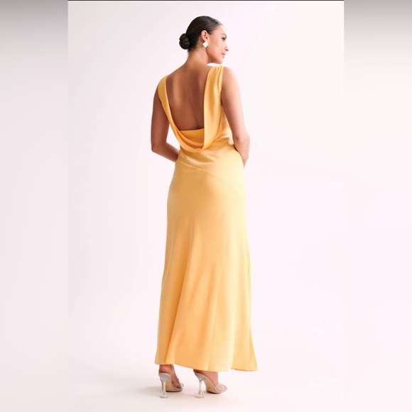 Meshki Dress - Picture 2 of 3